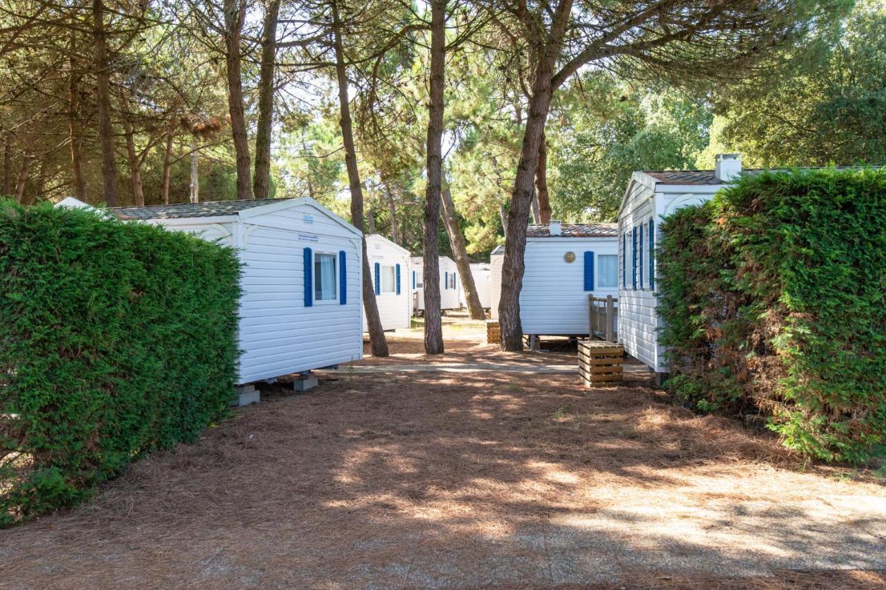 Camping Les Maraises サン・マルタン・ド・レ エクステリア 写真